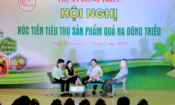 Đẩy mạnh xúc tiến, kết nối tiêu thụ na Đông Triều