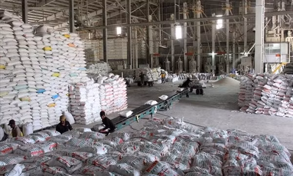 Cơ hội mở rộng thị phần xuất khẩu gạo Việt Nam