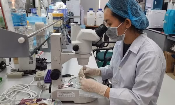 Nghiên cứu chính sách đãi ngộ vượt trội cho người làm khoa học