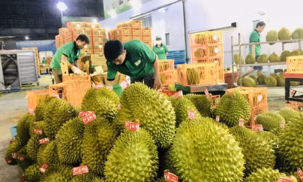 Trung Quốc chi 2,2 tỷ USD nhập rau quả Việt Nam, tăng 130%