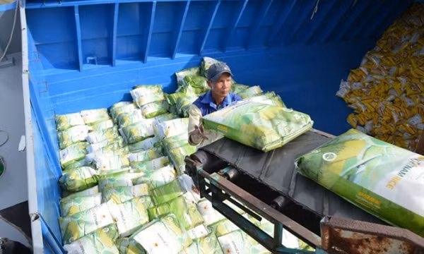 Bộ Công Thương yêu cầu cân đối xuất khẩu gạo và tiêu dùng nội địa