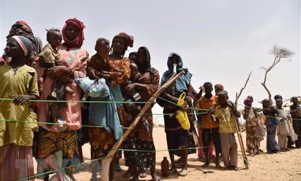 Liên minh châu Phi thông báo đình chỉ tư cách thành viên của Niger