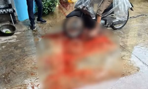 Mâu thuẫn chỗ trồng cây, chồng đâm chết vợ bằng nhiều nhát dao