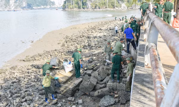 Những công trình, phần việc mang dấu ấn CCB