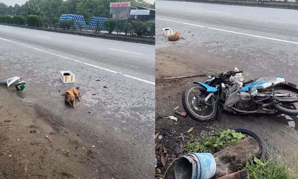 Thanh niên nghi trộm chó, tự gây tai nạn phải nhập viện gấp