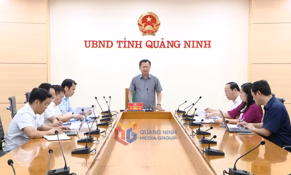 Nghe báo cáo triển khai lập đề án “Xây dựng cơ chế, chính sách thí điểm phát triển KKT Vân Đồn”