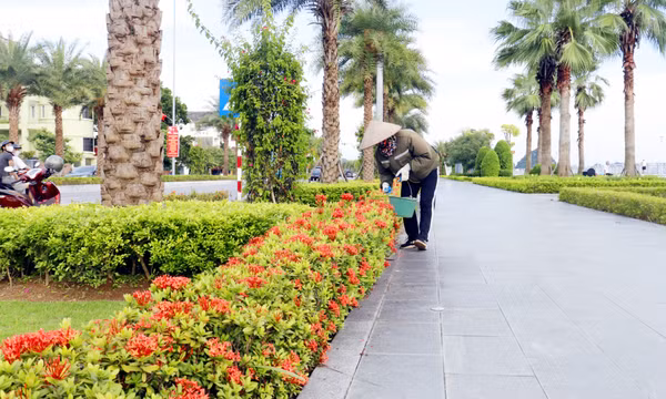 Chuyện về những người làm đẹp phố phường 