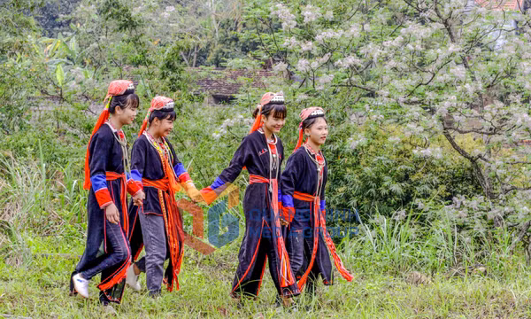 Dân tộc Dao