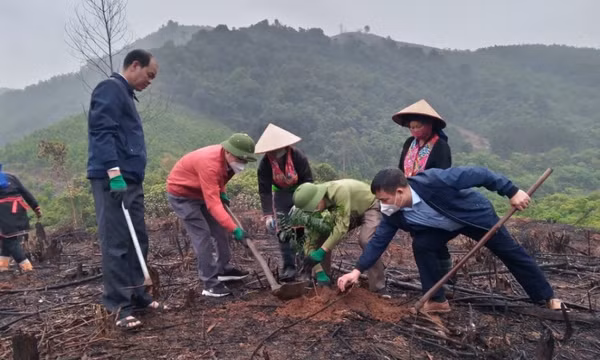 “Sớm ban hành chính sách mới khuyến khích, hỗ trợ phát triển lâm nghiệp bền vững”