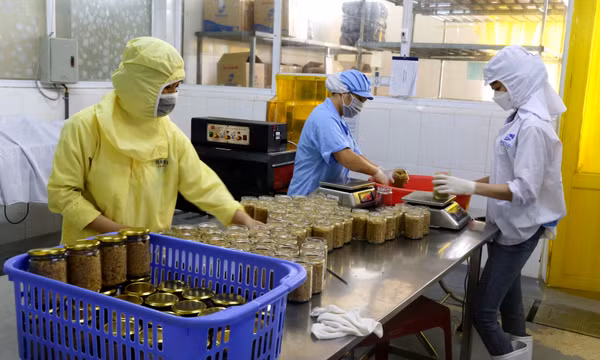 Vân Đồn: Siết chặt quản lý an toàn thực phẩm
