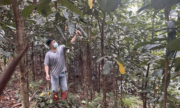 Phát triển nông nghiệp bền vững