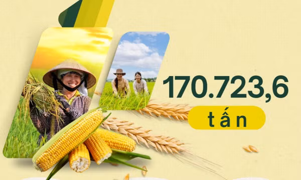 170.723,6 tấn - là tổng sản lượng lương thực cây có hạt 10 tháng năm 2024 trên toàn tỉnh