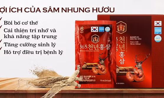 Thế Giới Hồng Sâm: Đồng hành chăm sóc sức khỏe người Việt