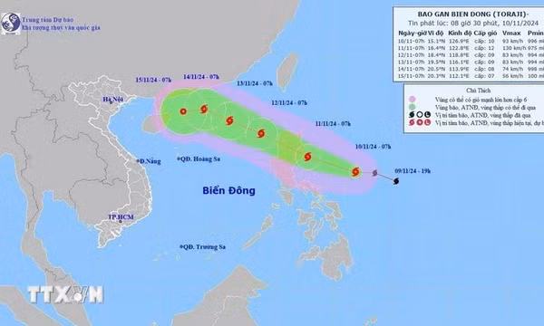Các tỉnh từ Quảng Ninh đến Bình Định chủ động ứng phó cơn bão số 8