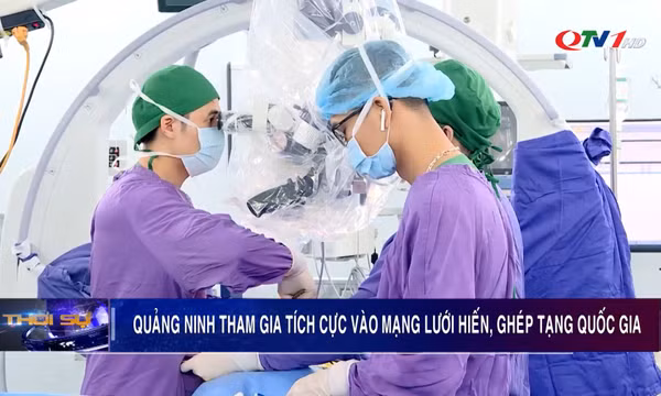 Quảng Ninh tham gia tích cực vào mạng lưới hiến, ghép tạng quốc gia