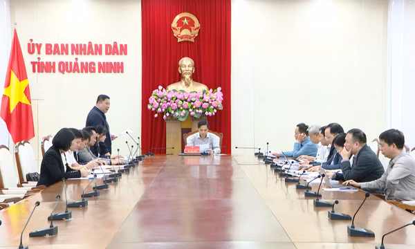 UBND tỉnh đánh giá kết quả thực hiện Nghị quyết 42 của HĐND tỉnh về một số biện pháp hỗ trợ khắc phục hậu quả bão số 3