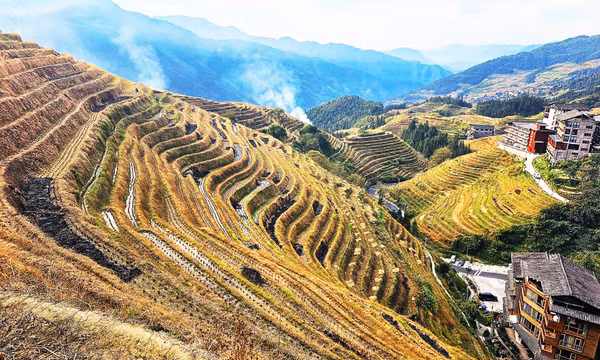 Ruộng bậc thang Long Tích - Bức tranh thiên nhiên hùng vĩ