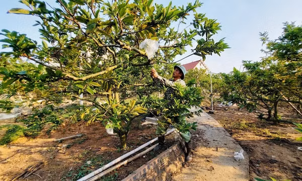 HND xã Việt Dân học và làm theo Bác