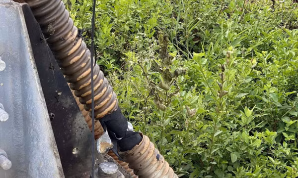 Cắt trộm dây điện, bị điện giật bất tỉnh