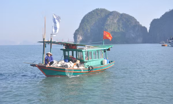 Lên thuyền với những người thu gom rác trên Vịnh Hạ Long...