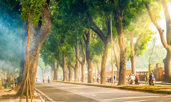 Báo Anh 'mách' 12 điểm đến đẹp nhất Việt Nam
