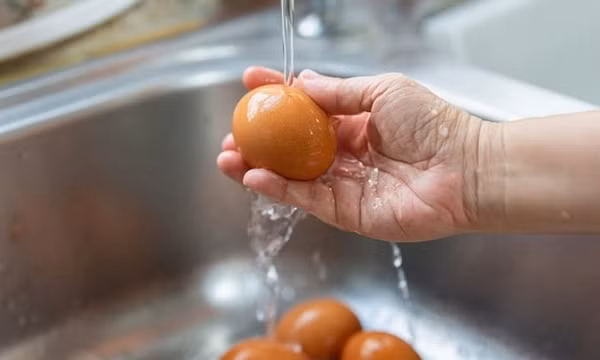 Có nên rửa sạch trứng trước khi bỏ vào tủ lạnh?