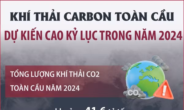 Khí thải carbon toàn cầu dự kiến cao kỷ lục trong năm 2024