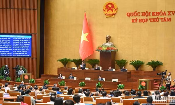 Cần có chính sách đặc thù giúp người dân vùng ảnh hưởng của bão ổn định cuộc sống