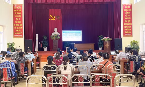 Hải Hà hướng dẫn triển khai công tác bầu cử trưởng thôn, bản, khu phố nhiệm kỳ 2025-2027