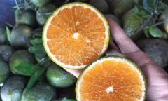 9 thực phẩm giúp tăng cường lưu thông máu