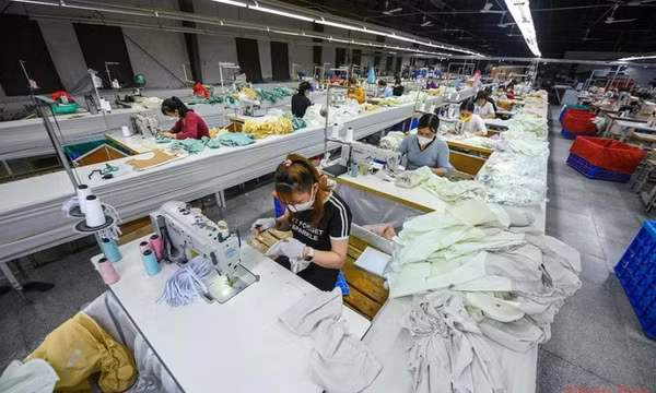 Thu ngân sách nhà nước lũy kế 10 tháng bằng 116,3% so cùng kỳ năm 2023