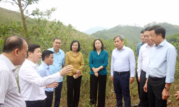 Đồng chí Bí thư Tỉnh ủy Vũ Đại Thắng kiểm tra, làm việc tại huyện Ba Chẽ