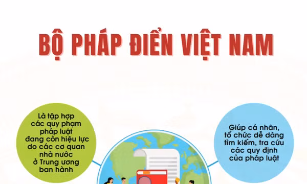 Bộ Pháp điển Việt Nam - công cụ tra cứu quy định pháp luật hữu ích cho người dân, doanh nghiệp