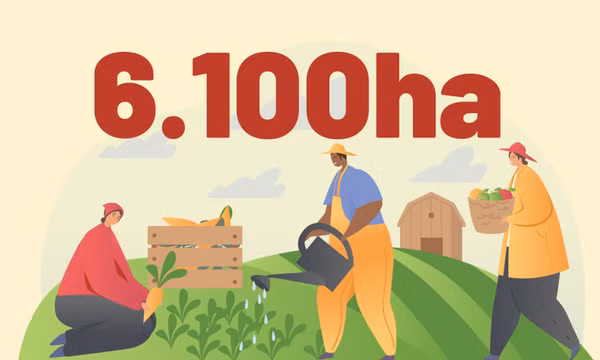 6.100 ha - là diện tích cây vụ Đông toàn tỉnh đã gieo trồng cho đến ngày 15/11