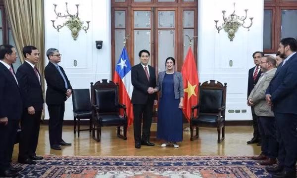 Chile là một trong những đối tác quan trọng hàng đầu của Việt Nam ở Mỹ Latinh