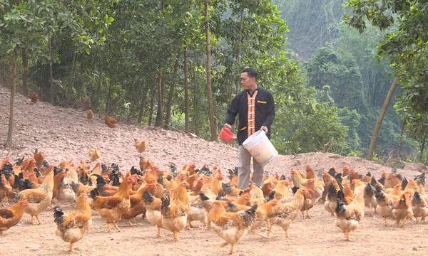 Đòn bẩy để đồng bào thiểu số thoát nghèo bền vững