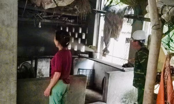 Không được phép chăn nuôi trong nội thành