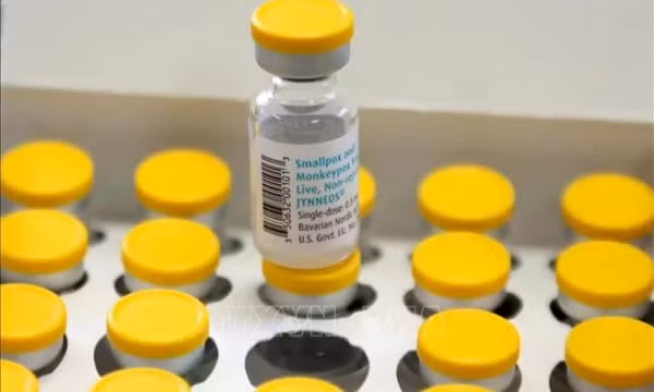 WHO phê duyệt vaccine phòng bệnh đậu mùa khỉ thứ hai do Nhật Bản bào chế