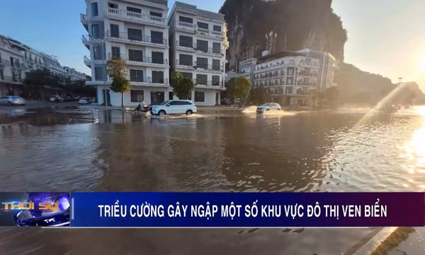Triều cường gây ngập một số khu vực đô thị ven biển