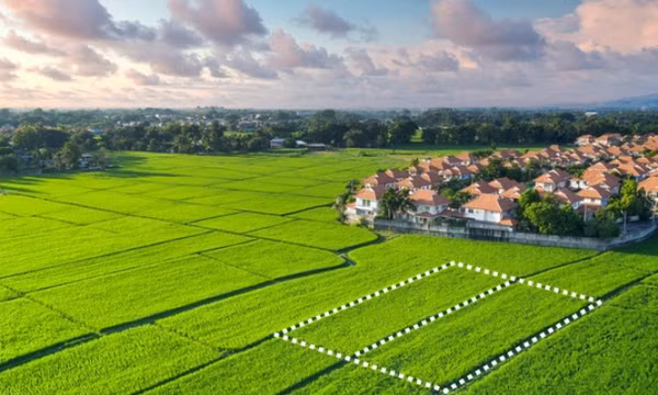 Điều kiện chuyển đất trồng lúa thành đất ở