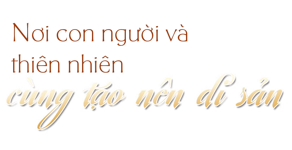 t2.png