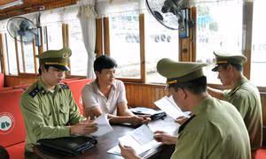 Tăng cường kiểm tra thị trường phục vụ Tuần Du lịch Hạ Long