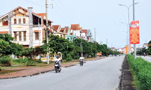 Sức vươn huyện mới Đầm Hà