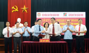 Ngành Ngân hàng: Đáp ứng nhu cầu vốn cho lĩnh vực ưu tiên