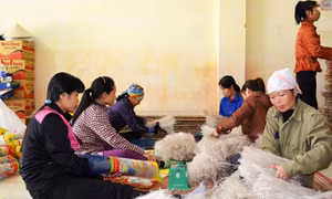 OCOP - Thương hiệu riêng có của Quảng Ninh