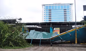 Không có thiệt hại về người trong bão số 14