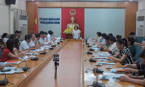 Tăng cường quản lý đối với hoạt động lữ hành đón khách du lịch qua cửa khẩu Móng Cái