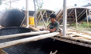Đua thuyền nan - Nét mới của hội bơi