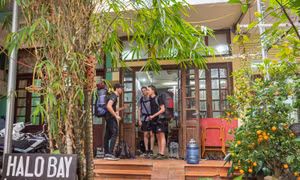 Halo Bay homestay – Điểm đến thân thiện với du khách nước ngoài