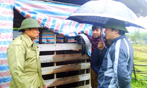 Nhìn lại một tuần chống chọi với giá rét